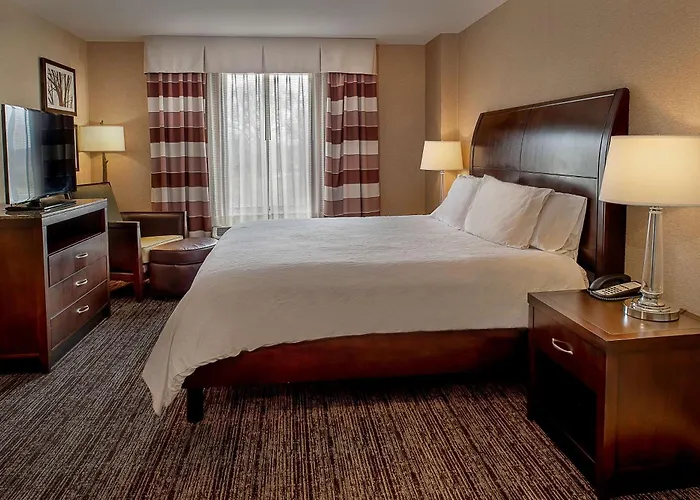 Hilton Garden Inn St. Louis Airport