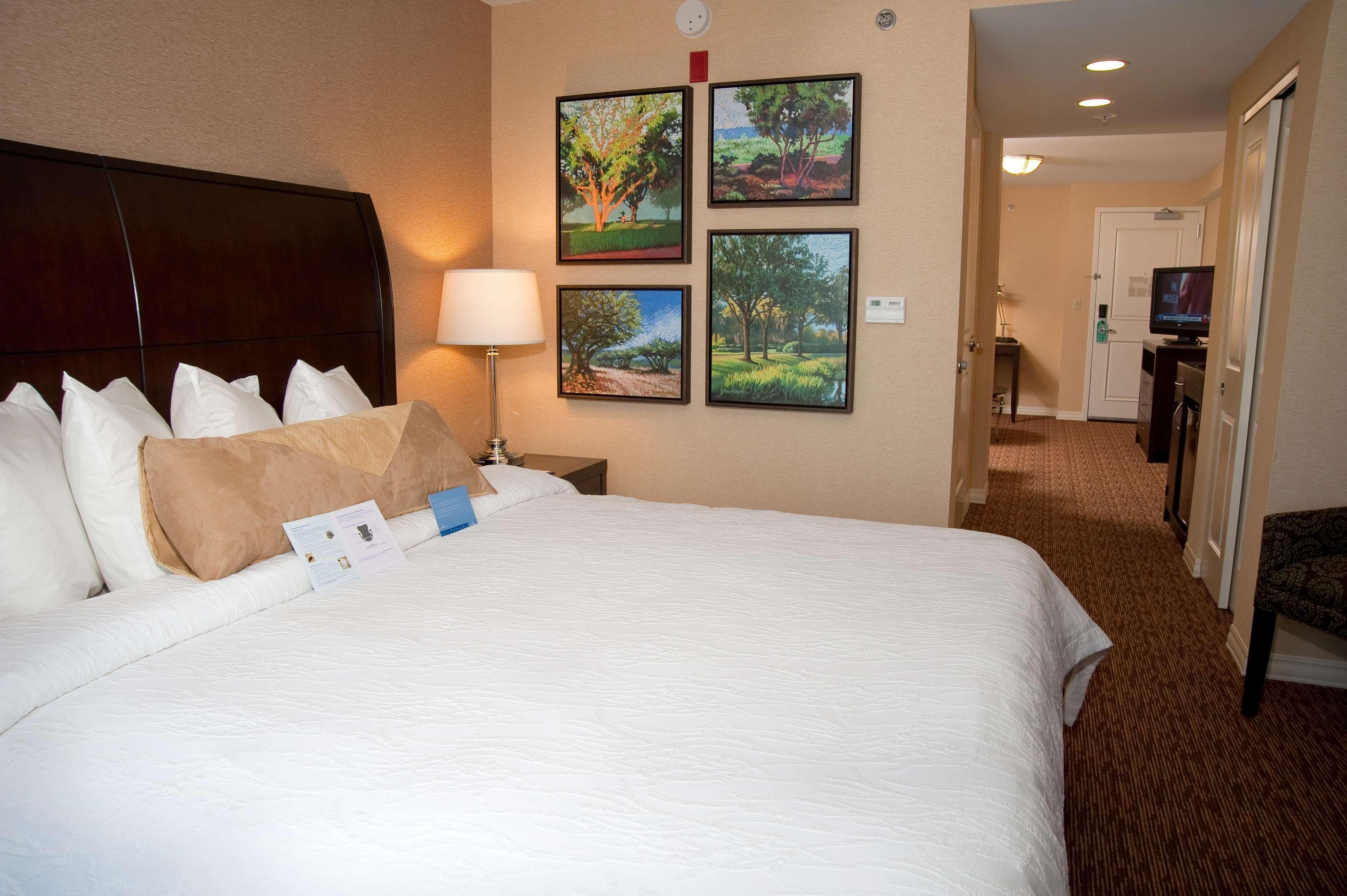 Hilton Garden St. Louis Airport Hotel
