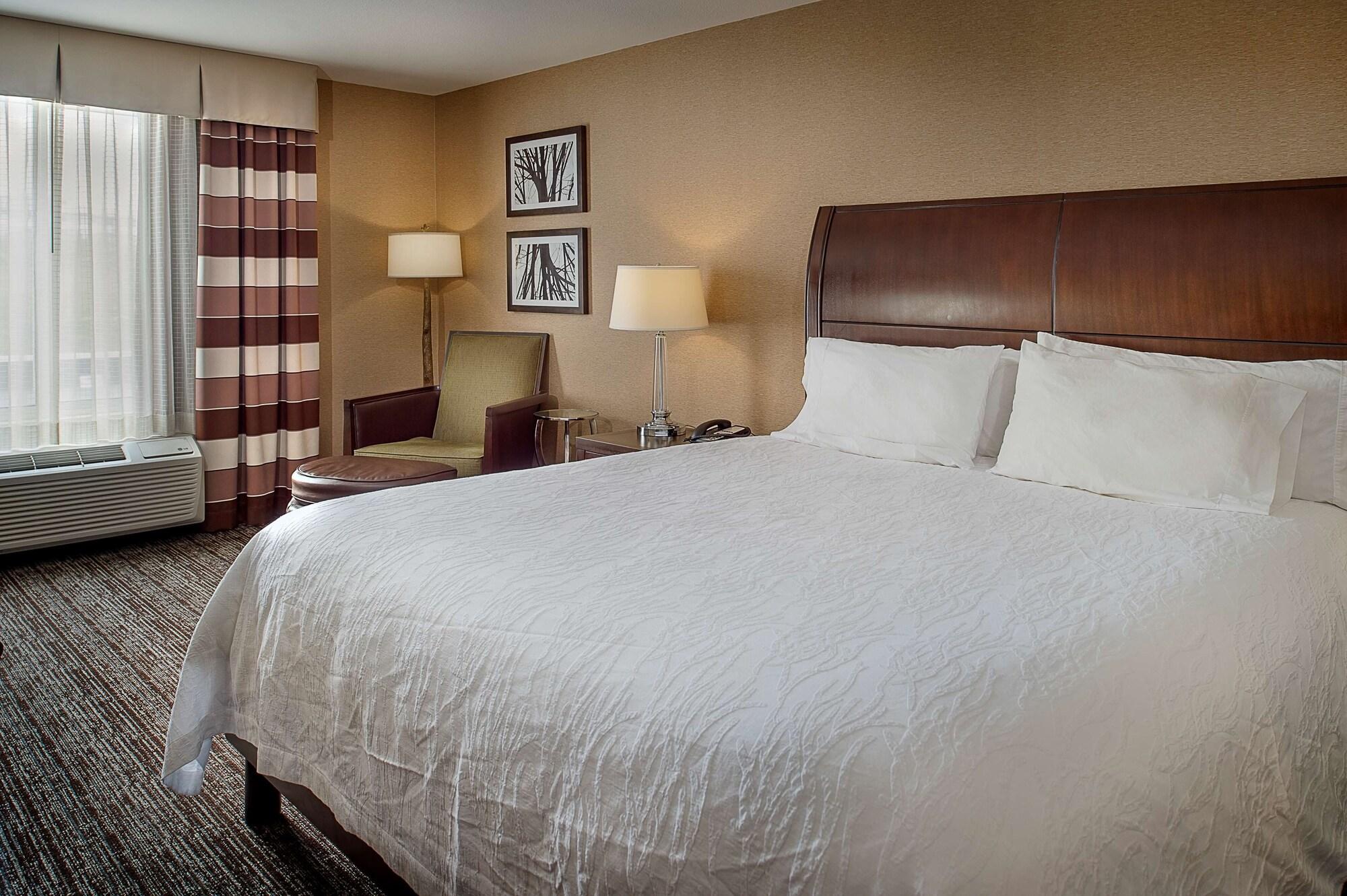 Hilton Garden St. Louis Airport Hotel