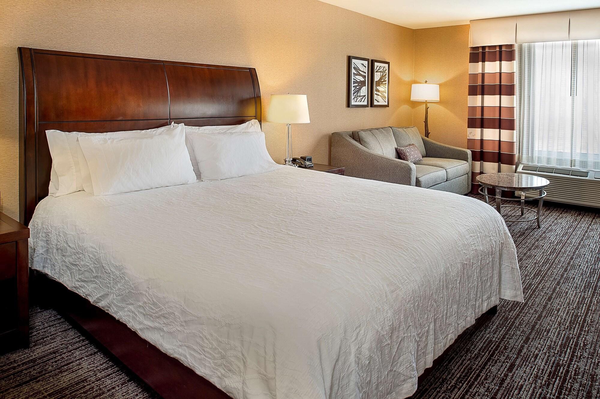 Hotel Hilton Garden St. Louis Airport
