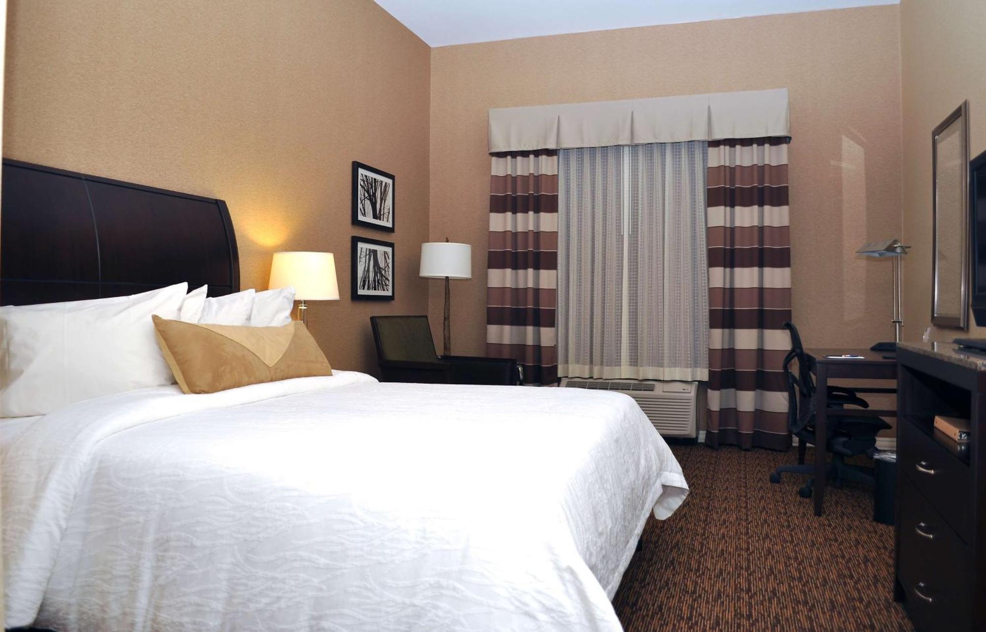 Hotel Hilton Garden St. Louis Airport