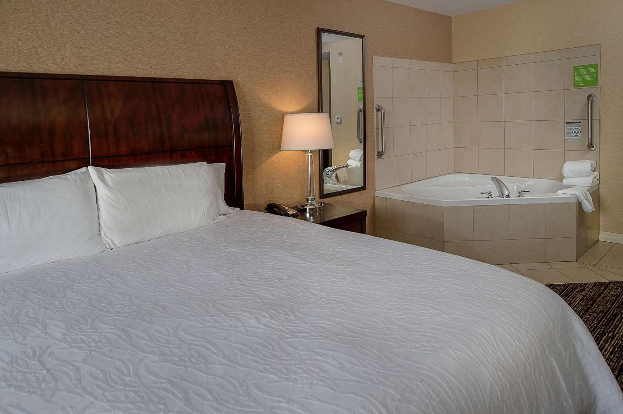 Hilton Garden St. Louis Airport Berkeley