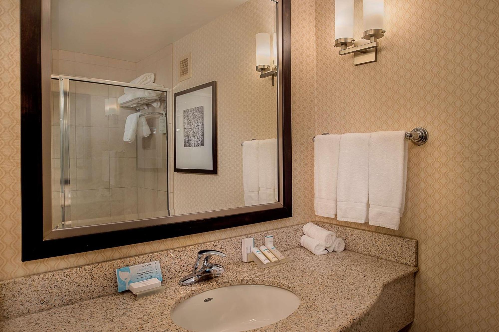 Hilton Garden St. Louis Airport Berkeley
