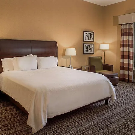 Hilton Garden Inn St. Louis Airport Berkeley Exterior foto