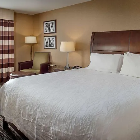 Hilton Garden Inn St. Louis Airport Berkeley Exterior foto