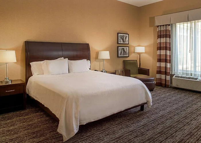 Hilton Garden Inn St. Louis Airport