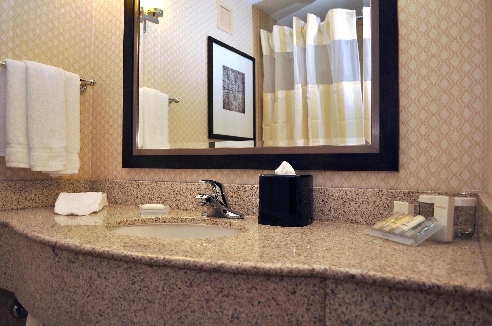 Hotel Hilton Garden St. Louis Airport