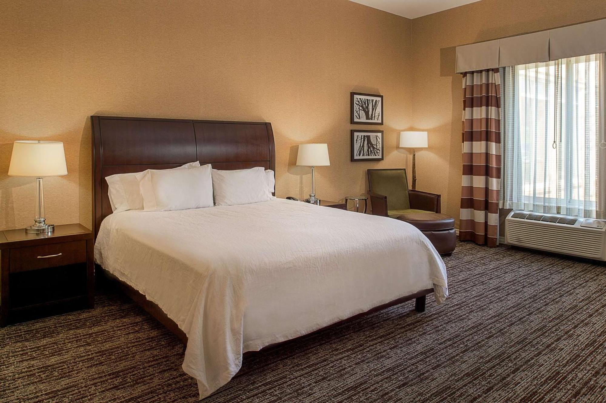 Hilton Garden St. Louis Airport Hotel